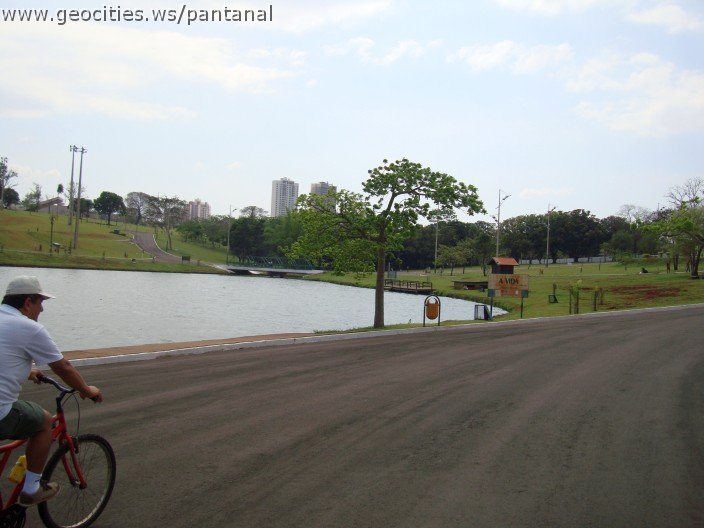 3467-geocities-ws-pantanal.jpg