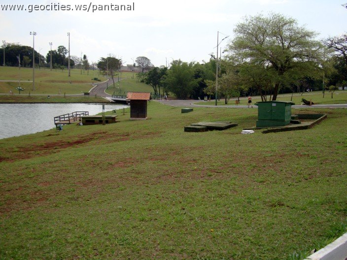 3468-geocities-ws-pantanal.jpg