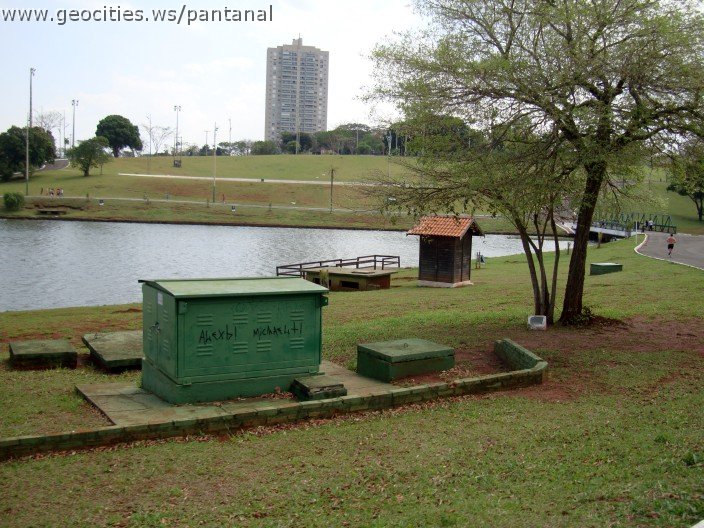 3469-geocities-ws-pantanal.jpg