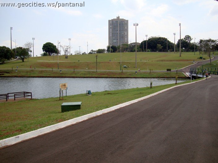 3470-geocities-ws-pantanal.jpg