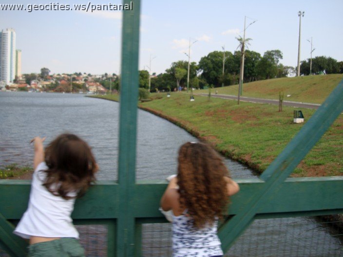 3472-geocities-ws-pantanal.jpg