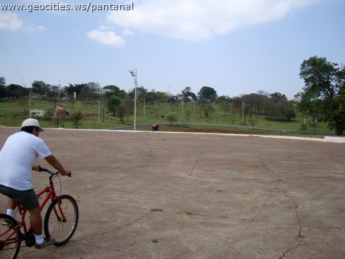 3479-geocities-ws-pantanal.jpg