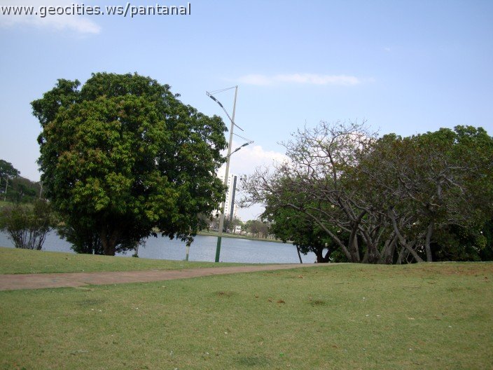3480-geocities-ws-pantanal.jpg