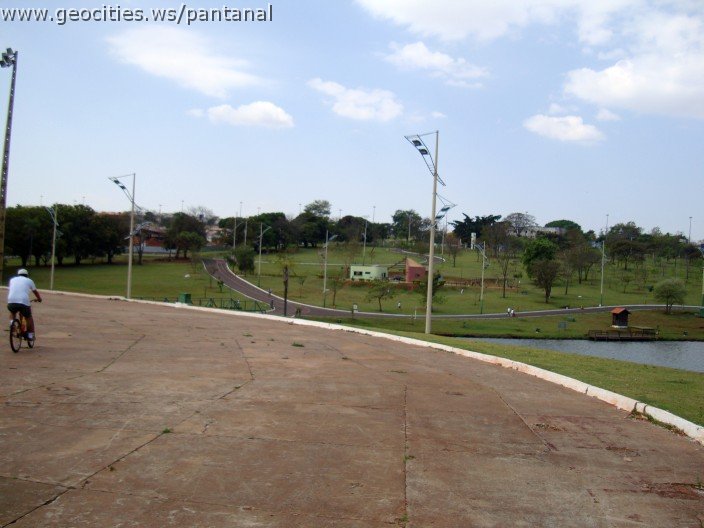 3481-geocities-ws-pantanal.jpg