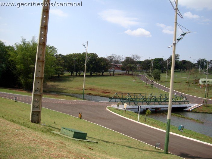 3485-geocities-ws-pantanal.jpg