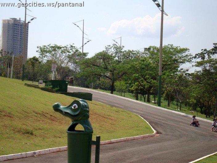 3489-geocities-ws-pantanal.jpg