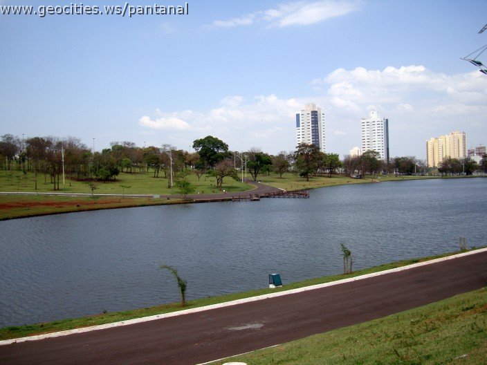 3493-geocities-ws-pantanal.jpg