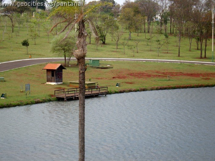 3495-geocities-ws-pantanal.jpg