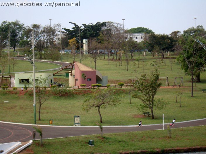 3497-geocities-ws-pantanal.jpg