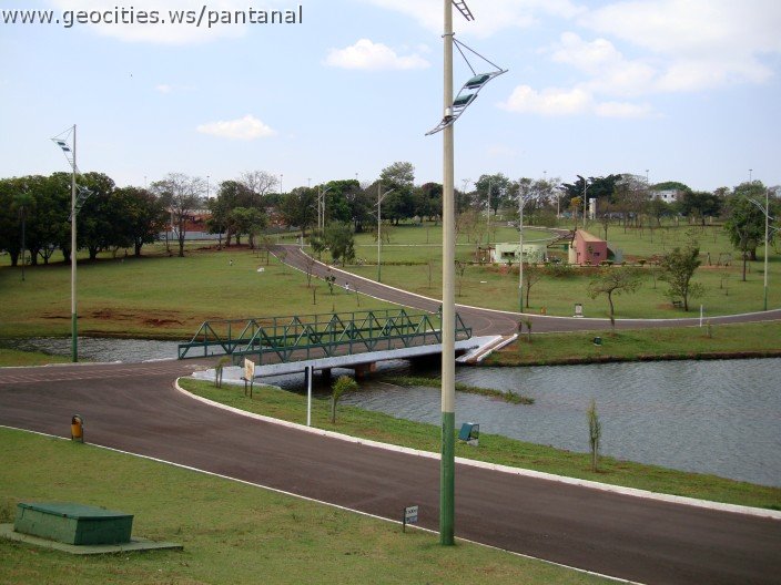 3499-geocities-ws-pantanal.jpg