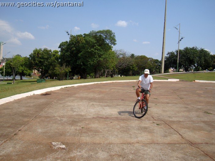 3502-geocities-ws-pantanal.jpg