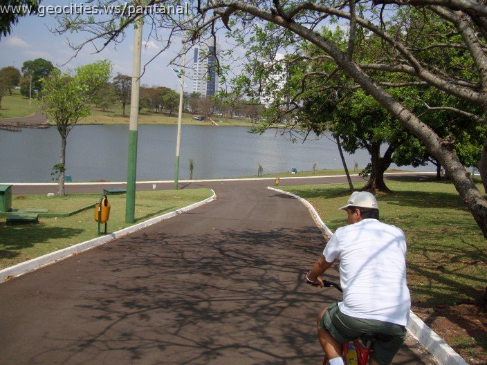 3507-geocities-ws-pantanal.jpg