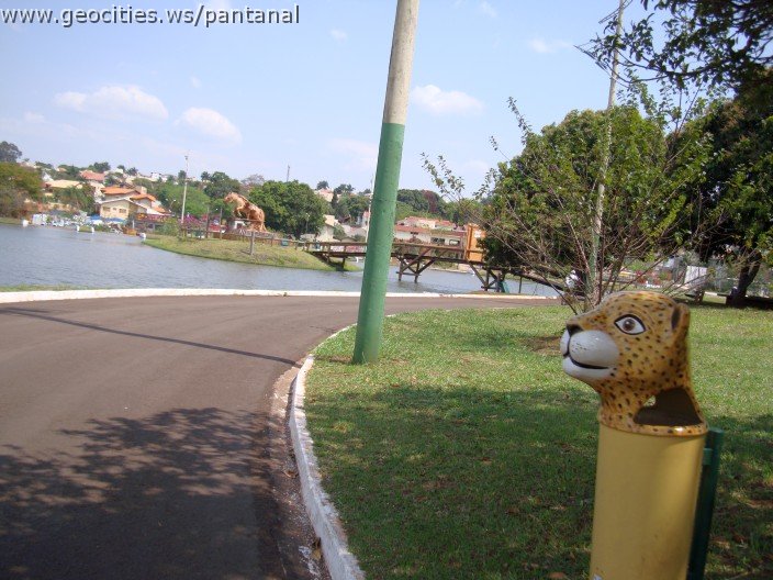 3512-geocities-ws-pantanal.jpg