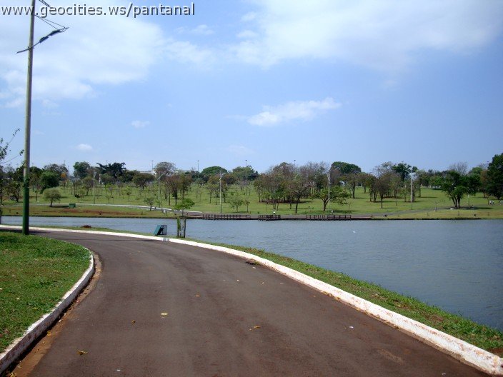 3519-geocities-ws-pantanal.jpg