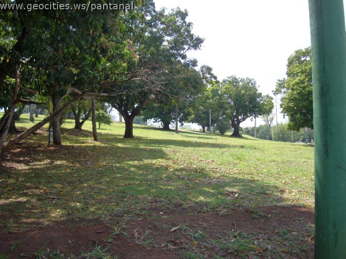 3520-geocities-ws-pantanal.jpg
