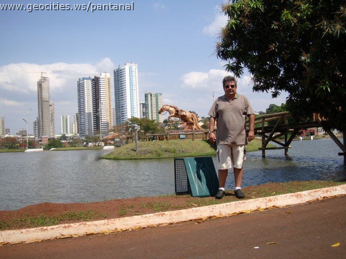 3521-geocities-ws-pantanal.jpg