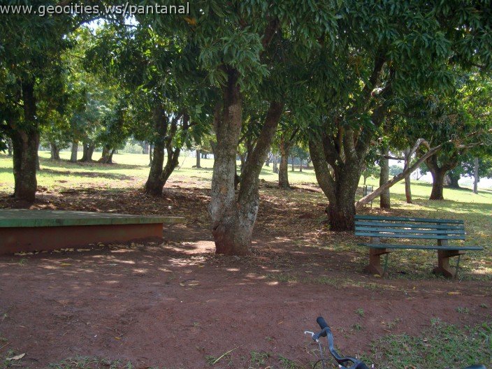 3524-geocities-ws-pantanal.jpg