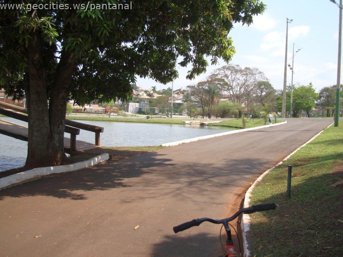 3525-geocities-ws-pantanal.jpg