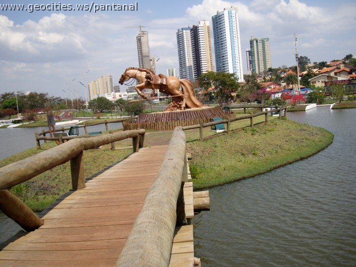 3529-geocities-ws-pantanal.jpg