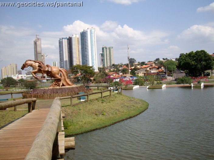 3530-geocities-ws-pantanal.jpg
