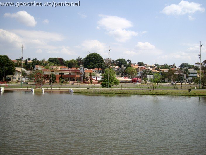 3531-geocities-ws-pantanal.jpg