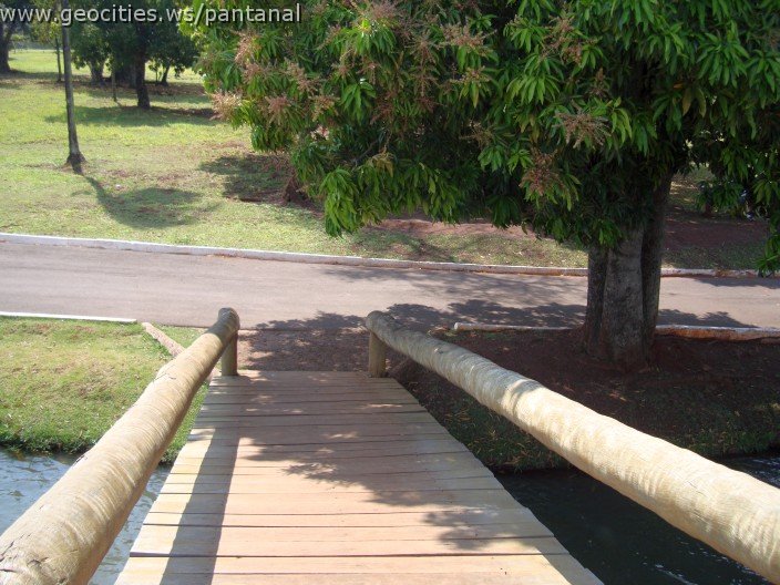3533-geocities-ws-pantanal.jpg