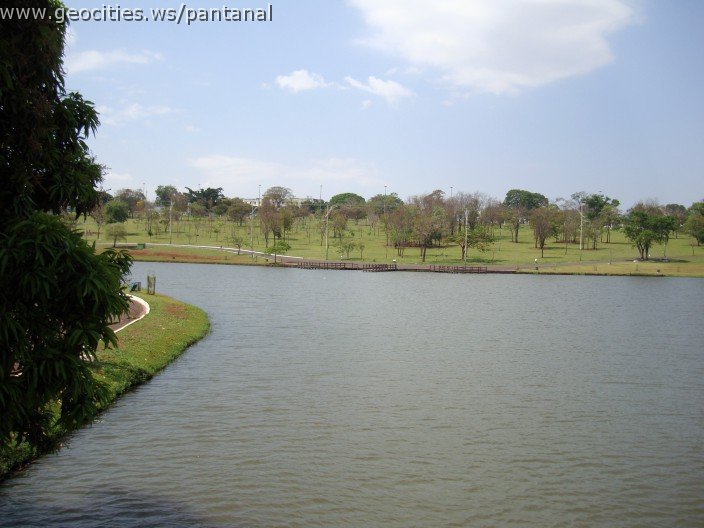 3535-geocities-ws-pantanal.jpg