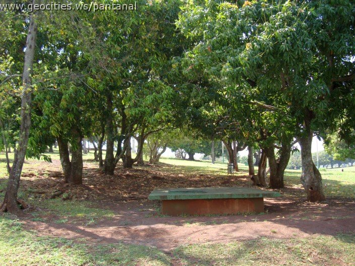 3536-geocities-ws-pantanal.jpg