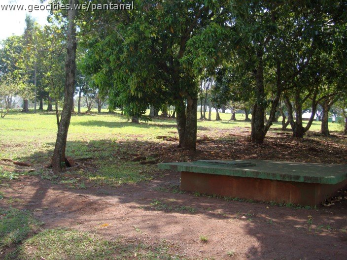 3538-geocities-ws-pantanal.jpg