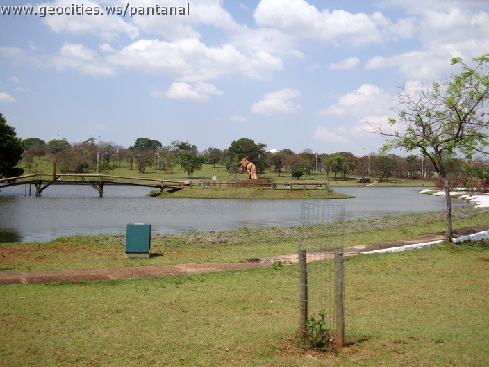 3543-geocities-ws-pantanal.jpg