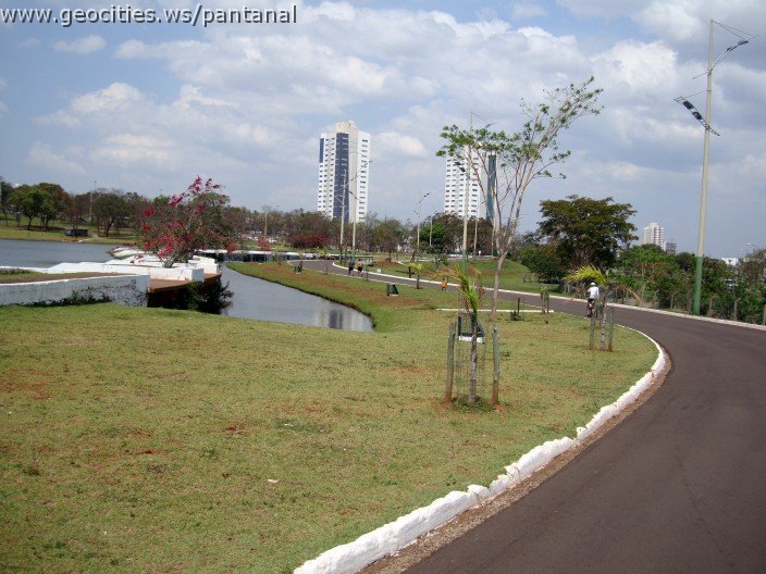 3544-geocities-ws-pantanal.jpg