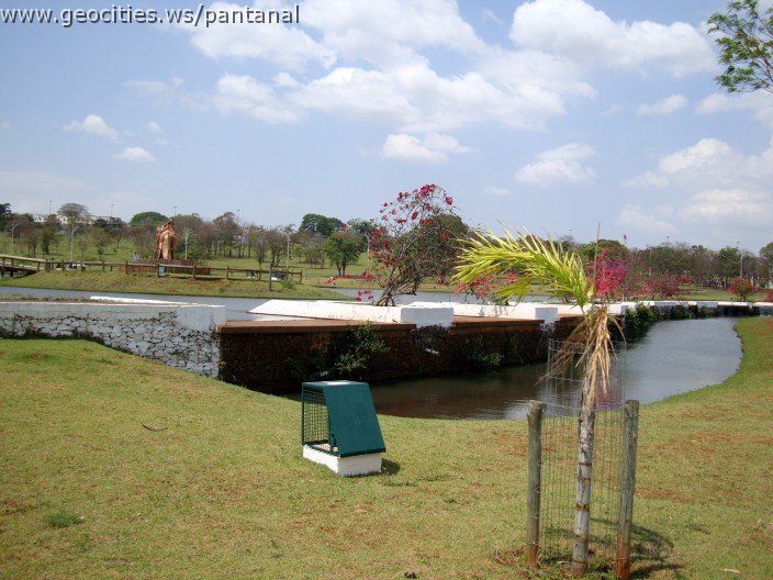 3545-geocities-ws-pantanal.jpg