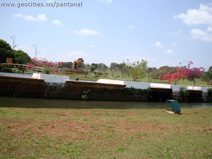 3546-geocities-ws-pantanal.jpg