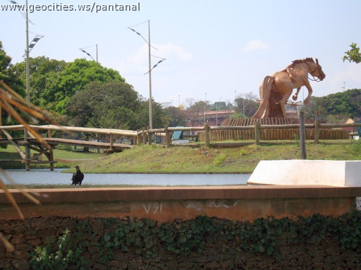 3547-geocities-ws-pantanal.jpg