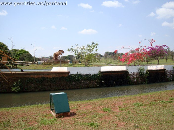 3550-geocities-ws-pantanal.jpg