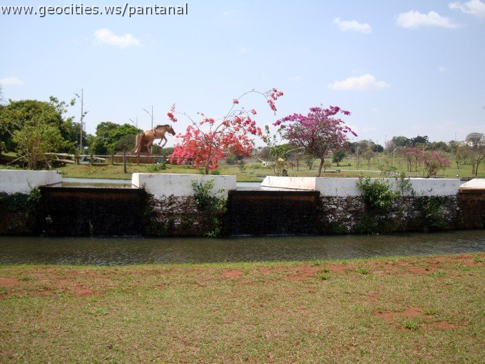 3551-geocities-ws-pantanal.jpg