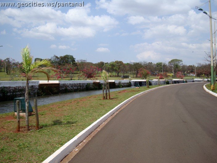 3552-geocities-ws-pantanal.jpg
