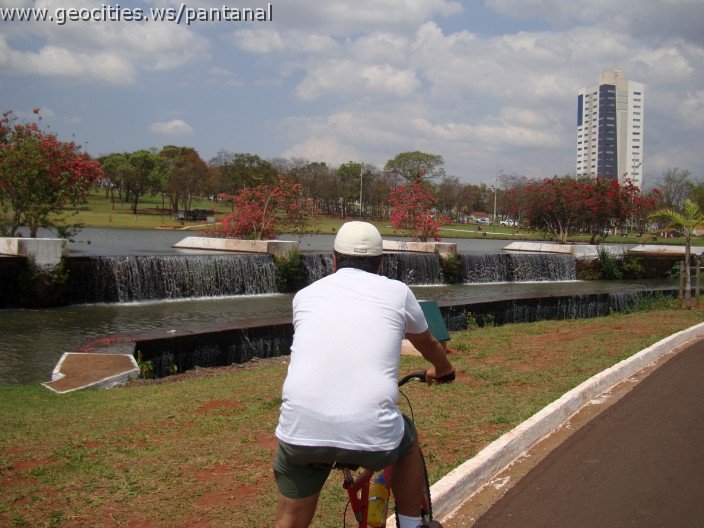 3556-geocities-ws-pantanal.jpg