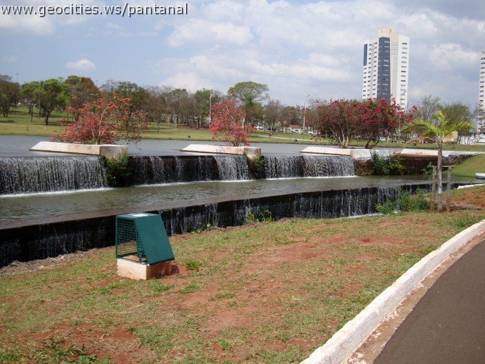 3557-geocities-ws-pantanal.jpg