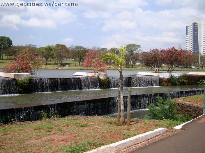3558-geocities-ws-pantanal.jpg