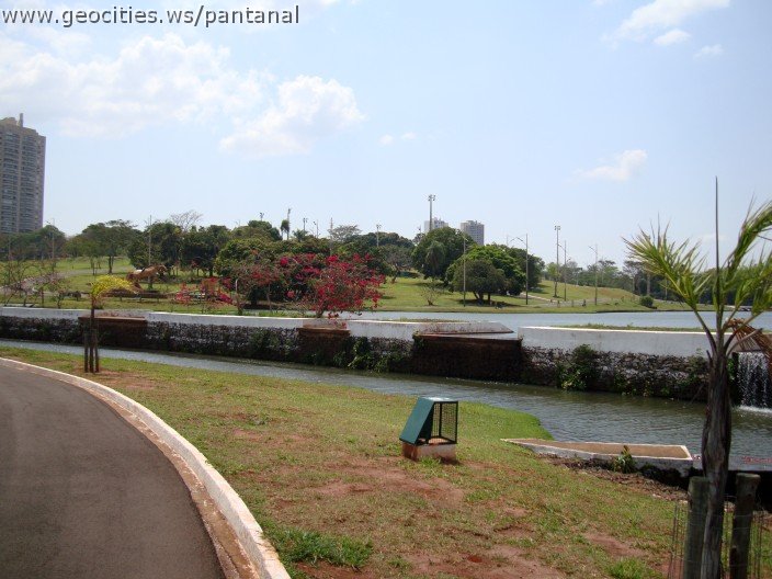 3559-geocities-ws-pantanal.jpg