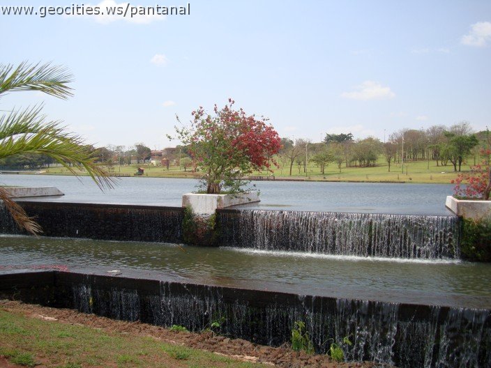 3560-geocities-ws-pantanal.jpg