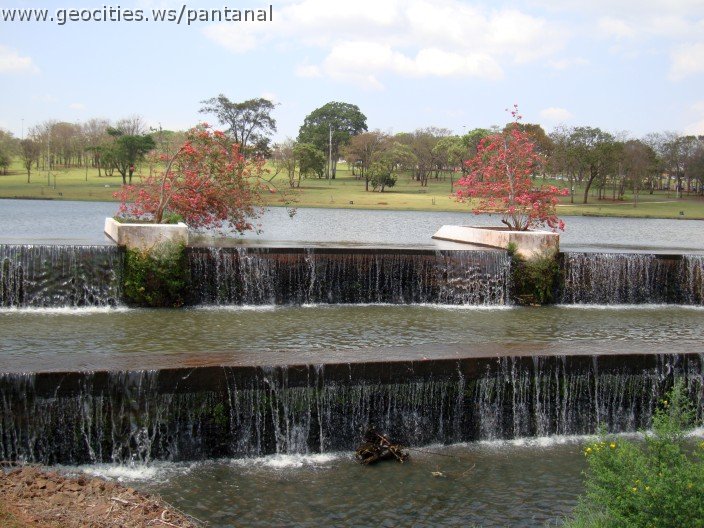 3561-geocities-ws-pantanal.jpg