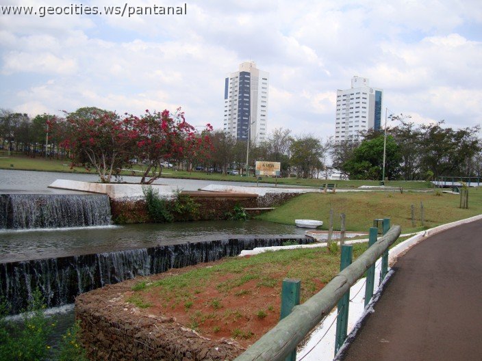 3562-geocities-ws-pantanal.jpg