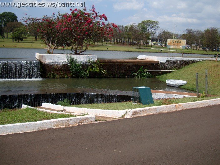 3563-geocities-ws-pantanal.jpg