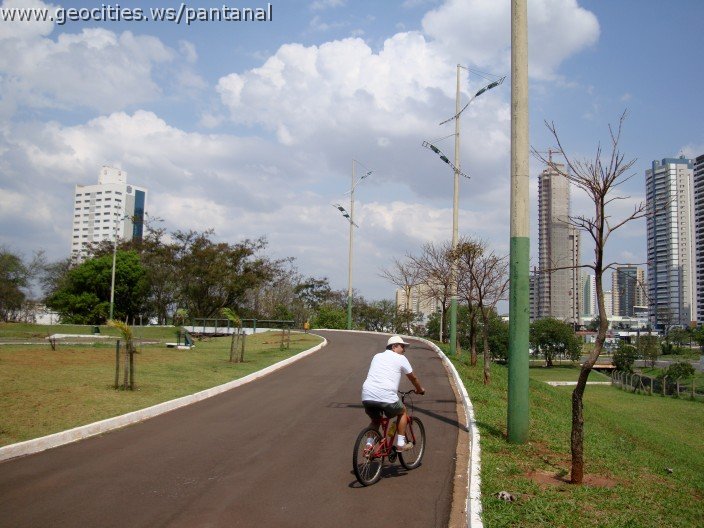3565-geocities-ws-pantanal.jpg