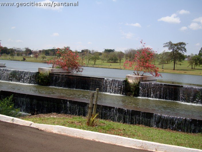 3566-geocities-ws-pantanal.jpg