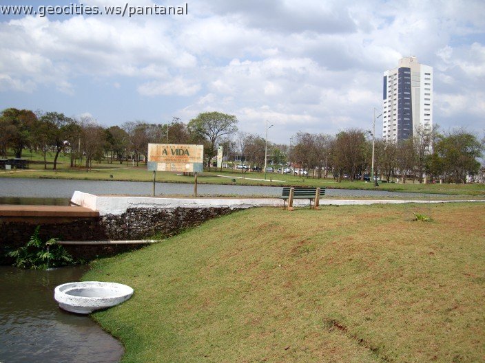 3567-geocities-ws-pantanal.jpg