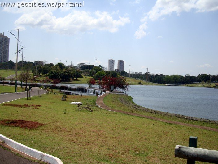 3571-geocities-ws-pantanal.jpg