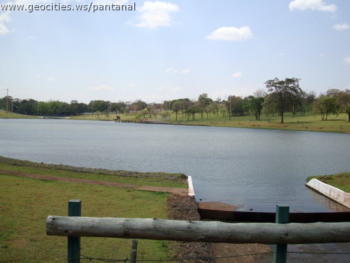 3572-geocities-ws-pantanal.jpg
